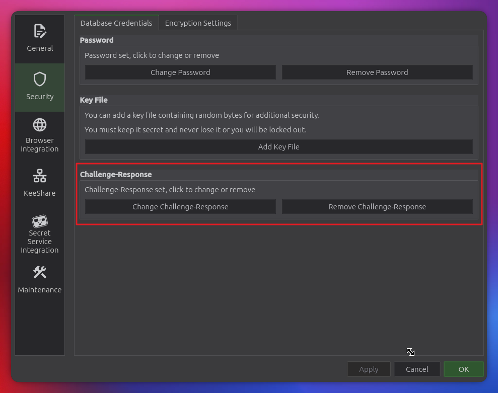 keepassxc security settings