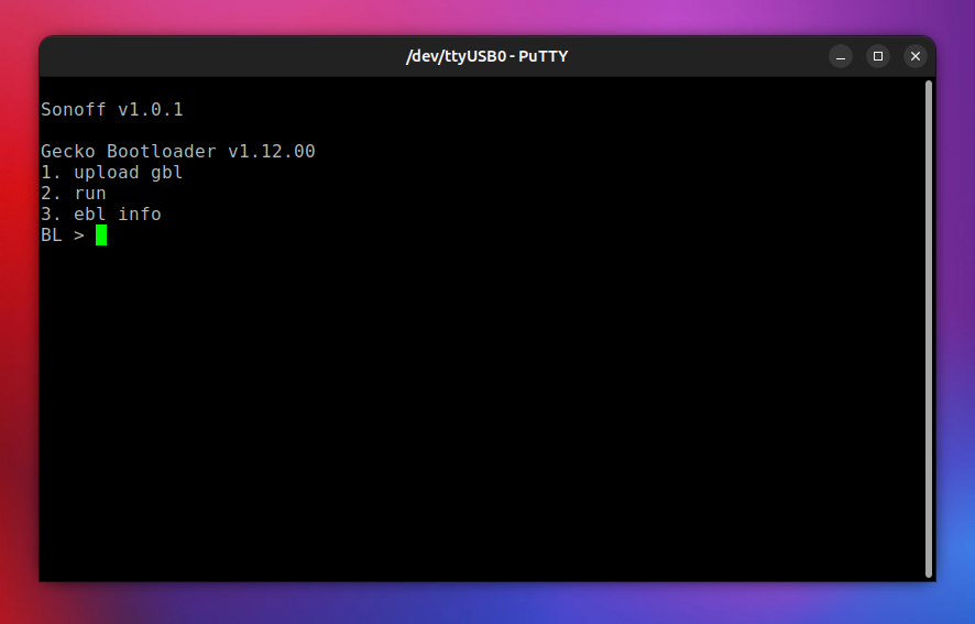 Sonoff ZBDongle-E Putty connected